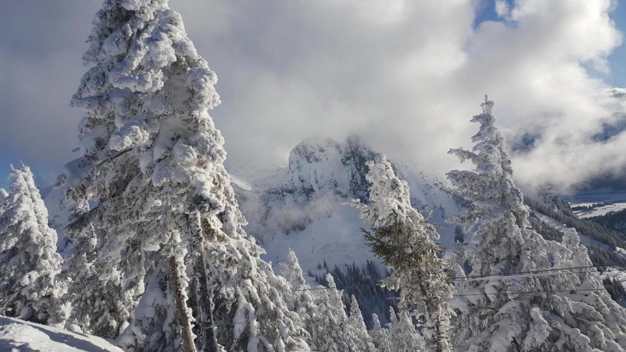 Alpenchalet Vils Tirol Екстериор снимка